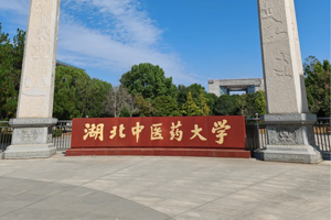 湖北中醫(yī)藥大學(xué)實驗室超純水機(jī)
